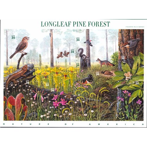 Longleaf Pine Forest (Nature of America), Full Sheet of 10 x 34-Cent Postage Stamps, USA 2001, Scott 3611