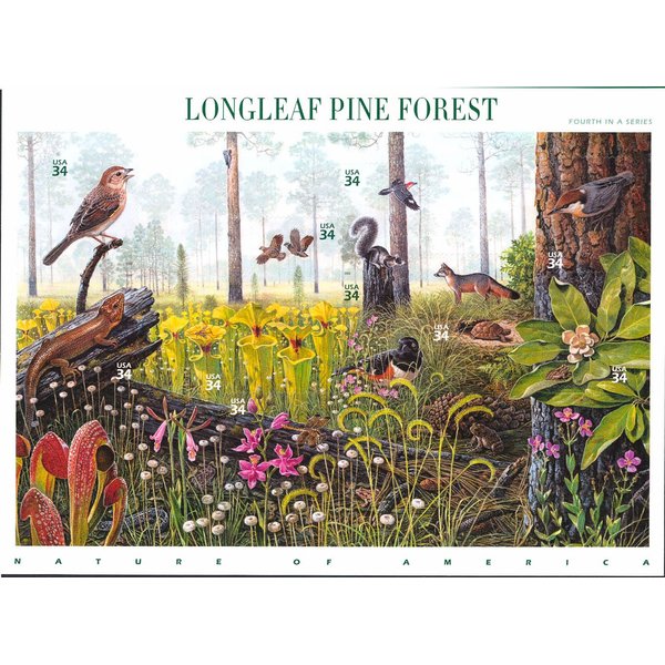 Longleaf Pine Forest (Nature of America), Full Sheet of 10 x 34-Cent Postage Stamps, USA 2001, Scott 3611