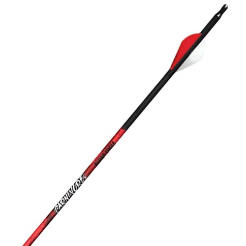 Black Eagle Carnivore Fletched Arrows 1/2Dozen .001 300spine