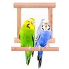Bllesqelax Bllesqelax Bird Parakeet Mirror for Cage,Parrot Perch Stand,Wooden Hummingbird Swing Toy,Parakeet Accessories for Cockatiels Conure Finch Lovebird Canary African Grey Macaw