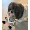 Glory To Dog Barnyard Rabbit Plush Small Dog Toy