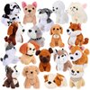 Aoriher 18 Pcs Valentines Day Gifts Mini Plush Dogs Bulk Puppy Stuffed Animals Small Stuffed Dogs Cute Assorted Soft Plush Dogs Puppies Toys Doll for Puppy Birthday Party Favors(Novelty Dog)