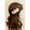 Flower Hair Comb Plumeria Head Piece for Women Girls Hawaiian Floral Hair Clips Pins Bride Bridesmaids Hair Accessories