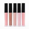 Tahari 15pc Lip Gloss Collection, Matte Nude Lip Glosses for Women and Girls, Long Lasting Color Lip Gloss Set with Rich Varied Colors