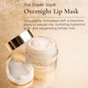 Sara Happ The Dream Slip Duo: Original Overnight Lip Mask + Dream Slip #2 Gently Restore, Heal and Renew Lips