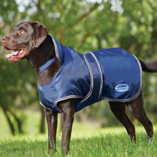WeatherBeeta ComFiTec Windbreaker 420D Deluxe Dog Coat, Navy/Grey, 24"