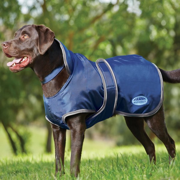WeatherBeeta ComFiTec Windbreaker 420D Deluxe Dog Coat, Navy/Grey, 24"