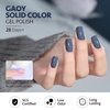 GAOY Blue Gel Nail Polish, 16ml Soak Off Gel Polish, UV Light Cure for Nail Art DIY Manicure at Home, 1271 Blue Borealis