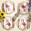 Bokon 200 Pieces Bear Baby Shower Decorations for 25 Guests Baby Shower Paper Plates Napkins Sets Bear Baby Shower Theme Party Supplies Including Plates Cups Spoons Napkins Knife Forks Straws