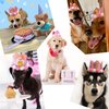 POSAPET Crown Dog Birthday Hat Girl Reusable Doggie Birthday Party Hat with Numbers Puppy Birthday Crown Hats for Dogs Cats Kitten Headband Hats Pink