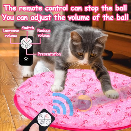 Mity Rain Cat Interactive Toys for Indoor Cats, Self Rolling Ball Cat Ball Toy in Play Mat Pouch, Remote Control Smart Automatic Cat Ball with Music Kitten Adult Cat Hide and Seek Hunting Boredom Toys