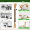 RELONGGI 3 PCS Natural Silvervine Sticks Cat Toy, Catnip Dental Toy for Kitten Teeth Cleaning, Cat Dental Toy,Cat & Kitten Chew Toys for Aggressive Chewer, Easy to Carry Silver Vine Sticks