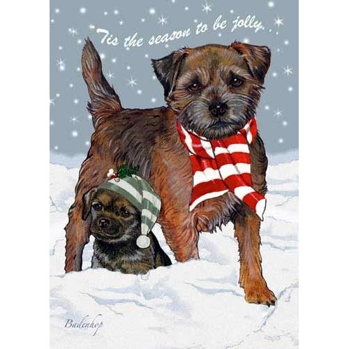 Pipsqueak Border Terrier Christmas Cards : 10 Holiday Cards with Red Envelopes - ADORABLE!