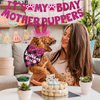 JOTFA Dog Birthday Decorations, Multi Sizes Dog Birthday Bandana Girl Dog Birthday Hat Crown Bow Tie Birthday Numbers It’s My Bday Mother Puppers Sign Banner for Small Dogs Pets (Pink, Small)