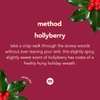 Method Foaming Hand Wash, Hollyberry, Biodegradable Formula, 10 fl oz (Pack of 1)