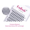 Eyelash Extensions Premade Fans Eyelash Extensions C CC D DD Curl Pointy Tip Pre Fan Eyelashes Premade Lash Extension Fans Volume Lash Extensions Pre Made Volume Lashes (10D-0.07D, 13mm)