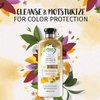 Herbal Essences Bio:renew Honey & Vitamin B Sulfate-Free Conditioner, 13.5 Fluid Ounce