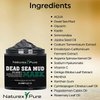 Naturex Pure Dead Sea Mud Mask – Luxurious Mud Masks for Women and Men – Advanced All-Natural Dead Sea Mud Mask for Blackheads, Whiteheads, Hyperpigmentation, Acne – 8.8fl oz