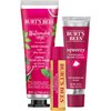 Burt's Bees Christmas Gifts, 3 Lip Care Stocking Stuffer Products, Squeezy Trio Tinted Lip Balm Set, Berry Sorbet, Sweet Peach & Watermelon Rush