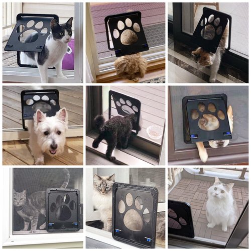 NAMSAN Cat Door for Screen Door, Flap Opening 8 x 10 inches, Cat Door for Window Screen, Magnetic Self-Closing Small Pet Door for Sliding Door, Lockable, Black