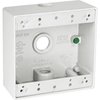 TayMac DB375WH 3/4-Inch 3 Hole 2-Gang Weatherproof Box, 3/4-Inch Outlets, White