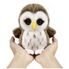 Ice King Bear Wild Animal Small Stuffed Animals Zoo Family Plush Toy (Owl 6 Inches)