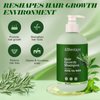 Rosemary Hair Growth Shampoo, Shampoo for Hair Loss, Biotin Shampoo for Thinning Hair for Women and Men, Rosemary Mint Hair Thickening Shampoo with Tea Tree Oil 16.9 Fl.Oz