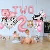 19 PCS Farm Animal Theme Party Balloons, Farm Cow Print Sheep Pig Donkey Mylar Foil Balloons Baby Shower Boy Girl 2nd Birthday Party Decor Supplies (2nd)