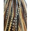 Feather Hair Extension – Natural Dark Brown and Beige, Five Genuine Feathers Bonded Together, Ranging from 4 to 7 Inches, One Extension