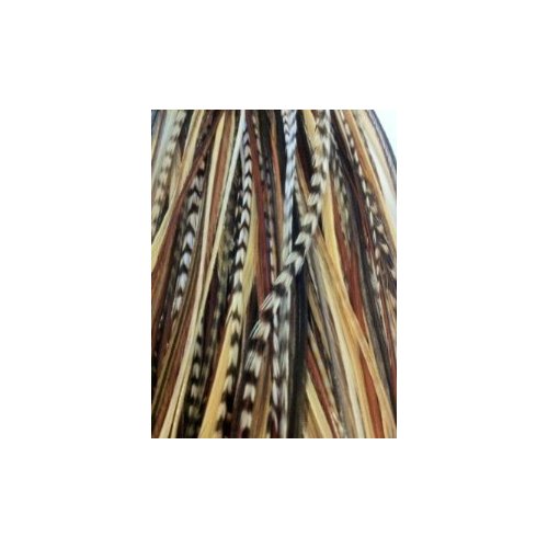 Feather Hair Extension – Natural Dark Brown and Beige, Five Genuine Feathers Bonded Together, Ran...