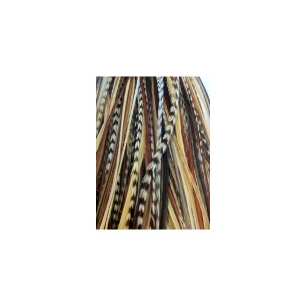 Feather Hair Extension – Natural Dark Brown and Beige, Five Genuine Feathers Bonded Together, Ranging from 4 to 7 Inches, One Extension