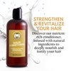Hair Conditioner | Gentlemen | The Best Conditioner made for Men