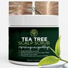 Tea Tree Scalp Scrub - Best Itchy Scalp Treatment with Tea Tree Oil, Quartz Powder, Sea Salt for Dry, Itchy Scalp Relief & Hair Growth - Anti-Fungal Scalp Treatment & Dandruff Scrubber