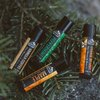 Lip Balm Set - 4 Scents - Maple, Vanilla Coffee, Peppermint, & Orange Brandy - No Shine Matte Finish - Featuring Coconut Oil, Avocado Oil, Bees Wax, & Shea Butter by Rocky Mountain Barber Company