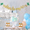 Dalaber Adios to My 40's Banner - Mexican Gold Glitter 49th,50th Birthday Party Decoration for Women, Men - Mexican Fiesta Theme Birthday Party Supplies