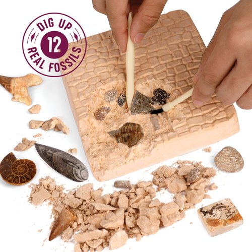 Real Fossil Dig Kit for Kids - Mega Science Kits for Boys & Girls Age 8-12 - Birthday Easter Gift Ideas for 8, 9, 10, 11, 12 Year Old Boy or Girl - Fossils Digging STEM Toys for Ages 8-13
