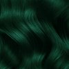 Lunar Tides Semi-Permanent Hair Color (43 colors) (Juniper Green)