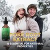 Poke Root Extract – Pure Lymphatic Drainage Drops - Immune Support Supplements & Detox Formula - Muscle Relaxer & Support for Athletes - Made in The USA - 2 oz