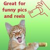 PAW:20 Lil' B The Blunt | Funny Cat Toy | Cool Plush Catnip Toy | Fun Novelty Gift | Play and Funny Photos
