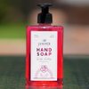 Juniper CLEAN, Antibacterial Hand Soap with Pump, Rose Scent, Liquid Hand Soap 17 Fl Oz (Pack of 1)