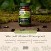 Gaia Herbs Ginkgo Leaf - Traditionally Used to Support Healthy Circulation and Brain Function - Organic, Herbal Supplement - 60 Vegan Liquid Phyto-Capsules (20-Day Supply)