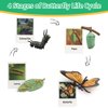 ​Montessori Life Cycle Learning - Montessori Life Cycle Animal Figures with Flash Cards, Plastic Insects Monarch Butterfly Kit Caterpillar Toy for Kids, Realistic Animal Figurines (Butterfly)