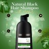 Ammonia-Free Herbal Hair Shampoo - Effectively Covers Gray Hair for Men and Women - Natural Color and Herbal Nourishment - No Stain on Skin - Natural Black (400 ml)