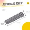 Party Animal 1/4 x 1 Lag Shield 50PCS Expansion Shield Anchors Long Zinc Alloy Expansion Bolts Concrete Anchors Lag Screws Masonry Anchors Hole