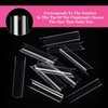 500 Pcs No C Curve Nail Tips XL Long Clear Nail Tips for Acrylic Nails Professional Set,10 Sizes Square Straight Tapered Half Cover Fake Nails Tips Ballerina Coffin French Nail for Salon DIY Nail Art