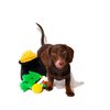 Midlee Hide-A-Toy Pot of Gold St. Patrick's Day Dog Toy