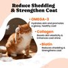 Cat Multivitamin Chews – Complete Daily Supplement with Omega-3, Lysine, Probiotics & Taurine for Immune, Joint, Skin & Digestive Health