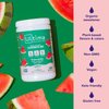 Ultima Replenisher Daily Electrolyte Drink Mix – Watermelon, 90 Servings – Hydration Powder with 6 Key Electrolytes & Trace Minerals – Keto Friendly, Vegan, Non-GMO & Sugar-Free Electrolyte Powder