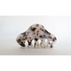 Generic Mixed black brown beige white hair claw clip