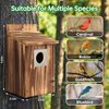 Bird Houses for Outside with Metal Predator Guard for Bluebird Wren Swallow Finch, Carbonized Wooden Nesting Boxes for Outdoor, Sturdy Bird House,Easy to Clean